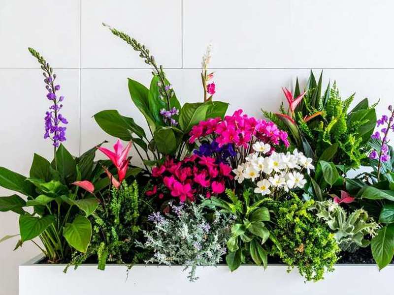 cvetlična korita za lepo okolico